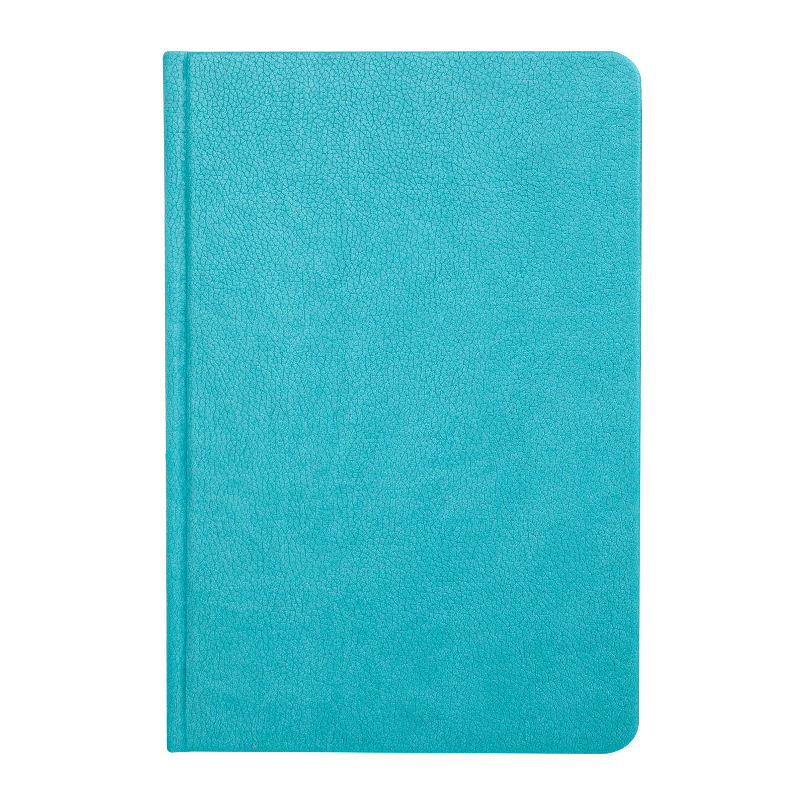 ULUS TURKUAZ TARİHLİ AJANDA (17X24 CM)