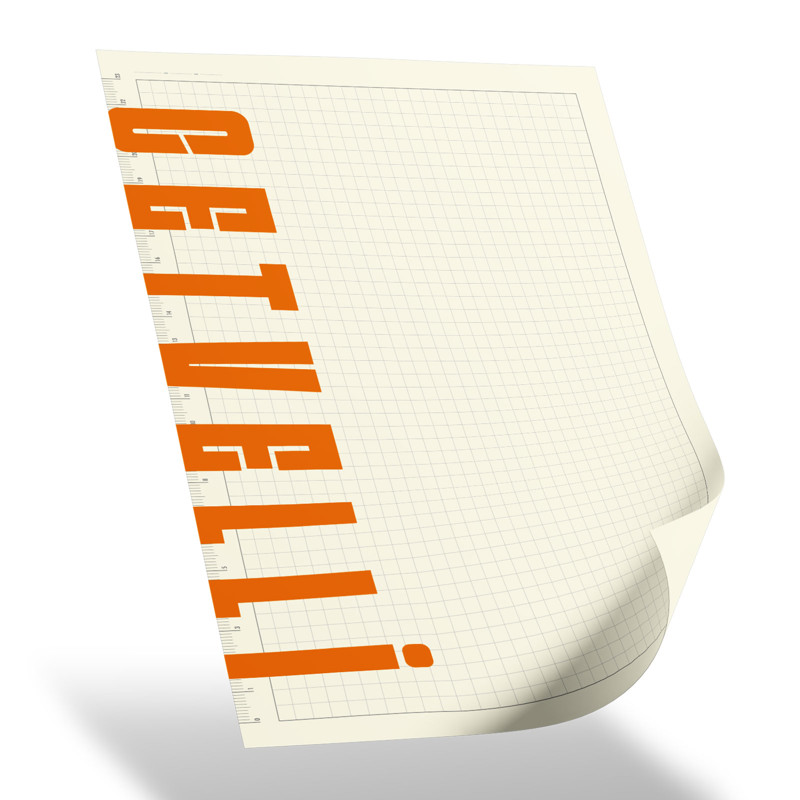 SEĞMENLER TABA KARELİ SPİRALLİ TARİHSİZ DEFTER (19X25 CM)